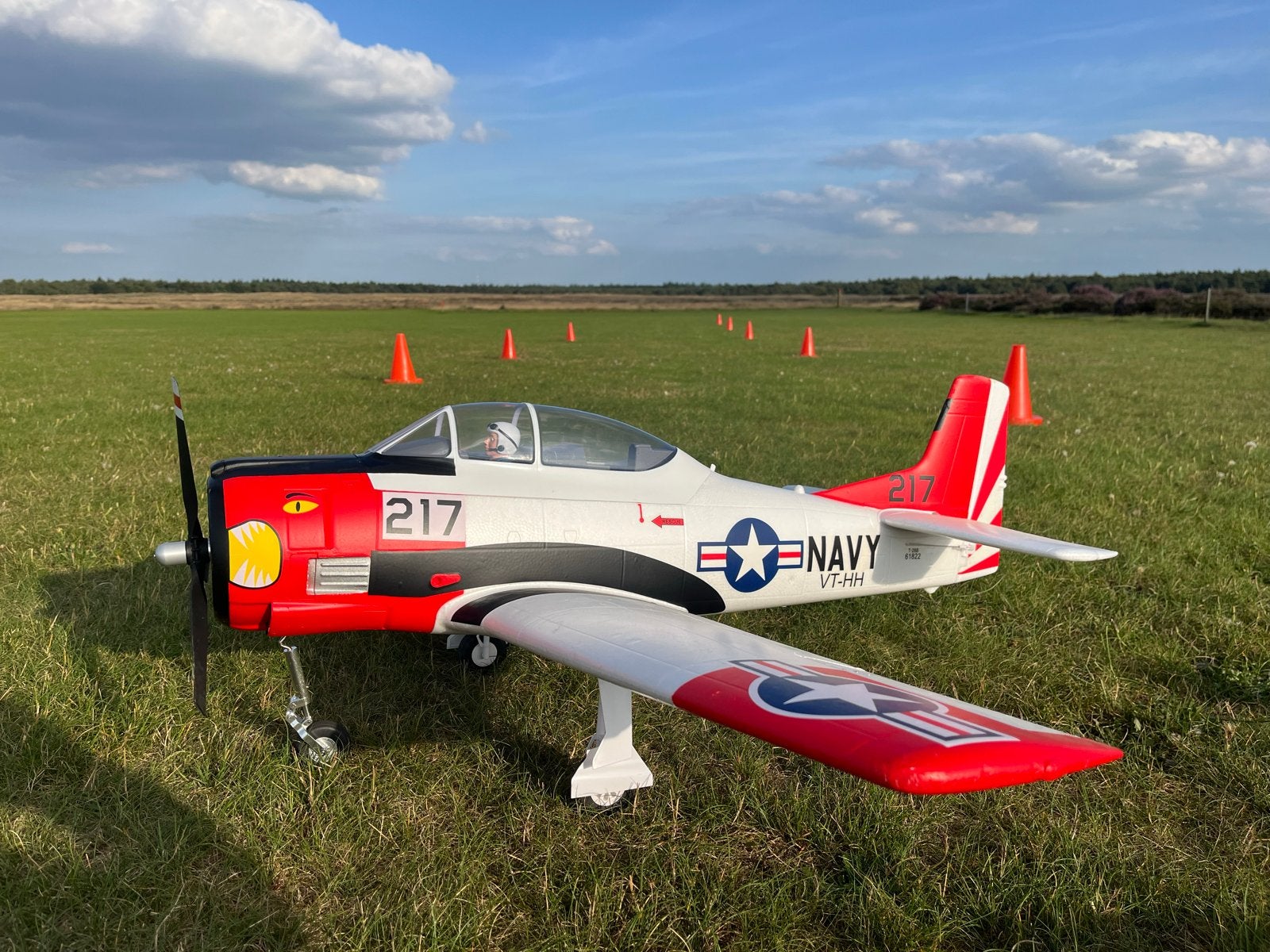 Eflite T28 1.2 meter BNF - Trainer & 3D Vliegen, Ophalen, Zo goed als nieuw, Elektro