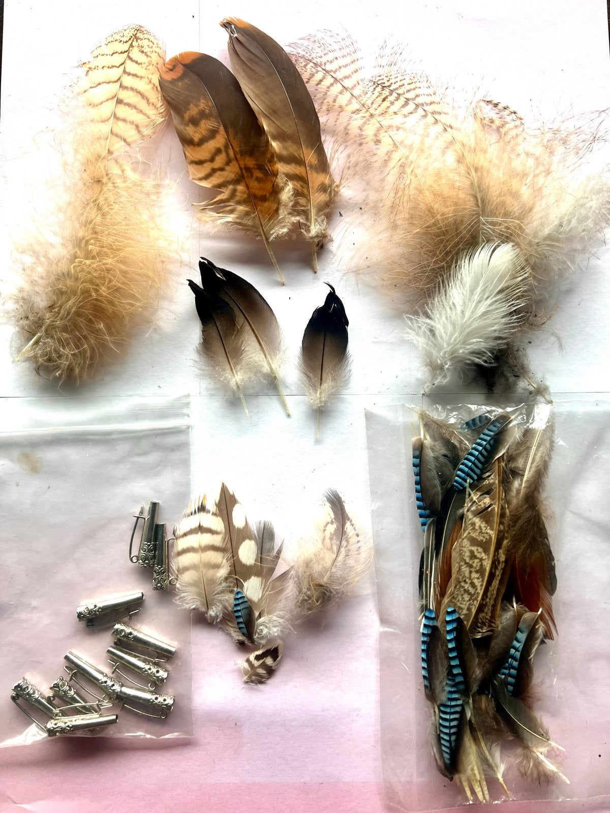 Diverse veren en zilverkleurige klemmetjes, voor veerbroche, Gebruikt, Handgemaakt, Dieren, Ophalen of Verzenden