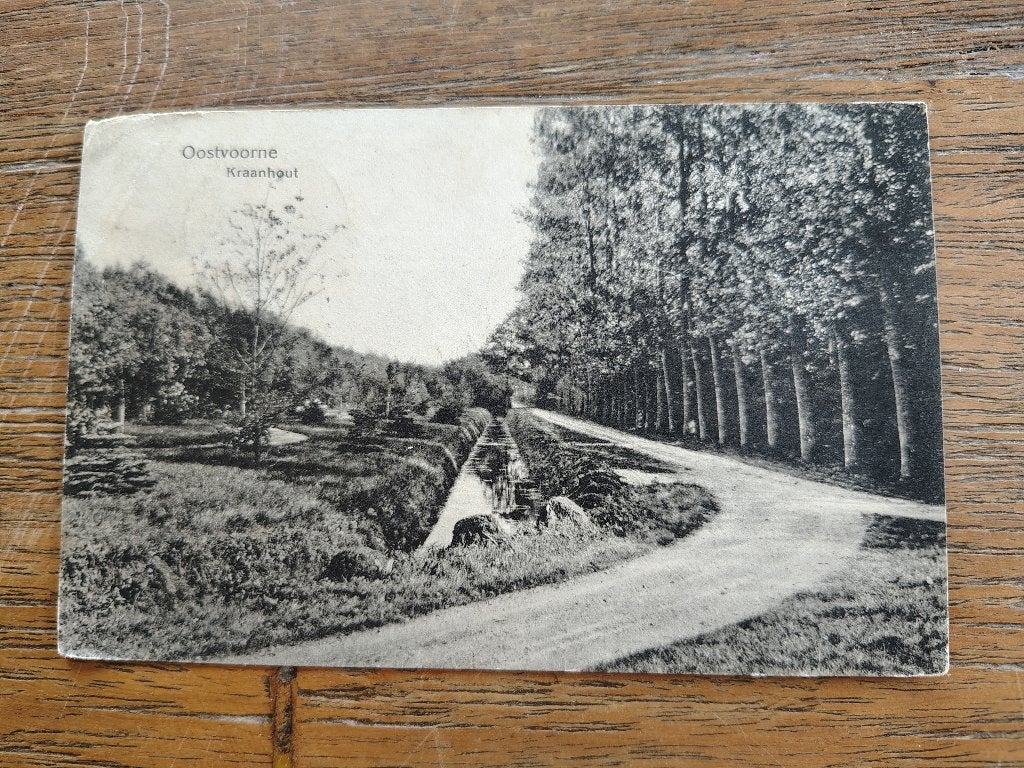 Oostvoorne Kraanhout, Ophalen of Verzenden