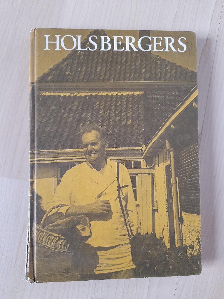 HOLSBERGERS    H Kingmans, Ophalen of Verzenden, Gelezen, Nederland