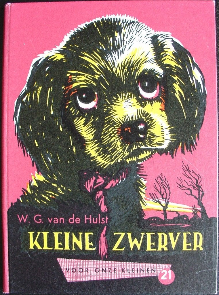 Kleine zwerver boek, Ophalen of Verzenden, Zo goed als nieuw, W.G. van de Hulst., Fictie algemeen