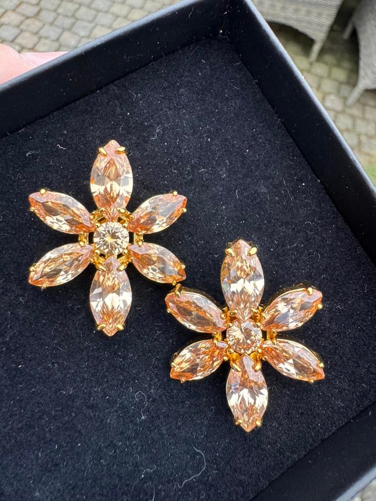 Franky Amsterdam oorbellen kristal, Verzenden, Zo goed als nieuw, Zilver, Overige materialen