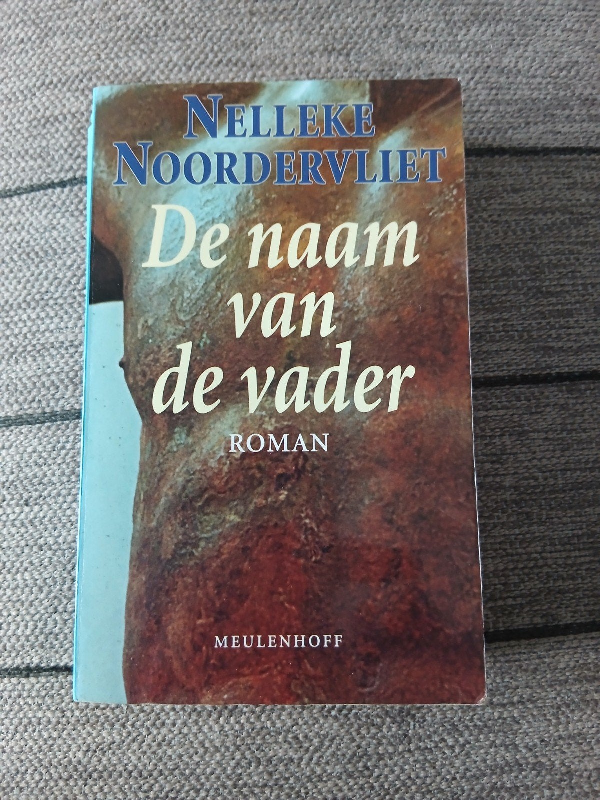 Nelleke Noordervliet - De naam van de vader (Roman), Ophalen of Verzenden, Gelezen, Nelleke Noordervliet, Nederland