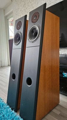 Audio Physic Tempo, Stereo speakers, Gebruikt, 60 tot 120 watt, Ophalen