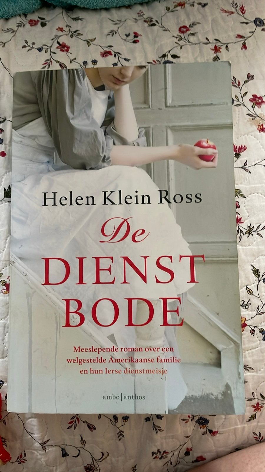 De Dienstbode - Helen Klein Ross (Roman), Ophalen of Verzenden, Zo goed als nieuw, Amerika