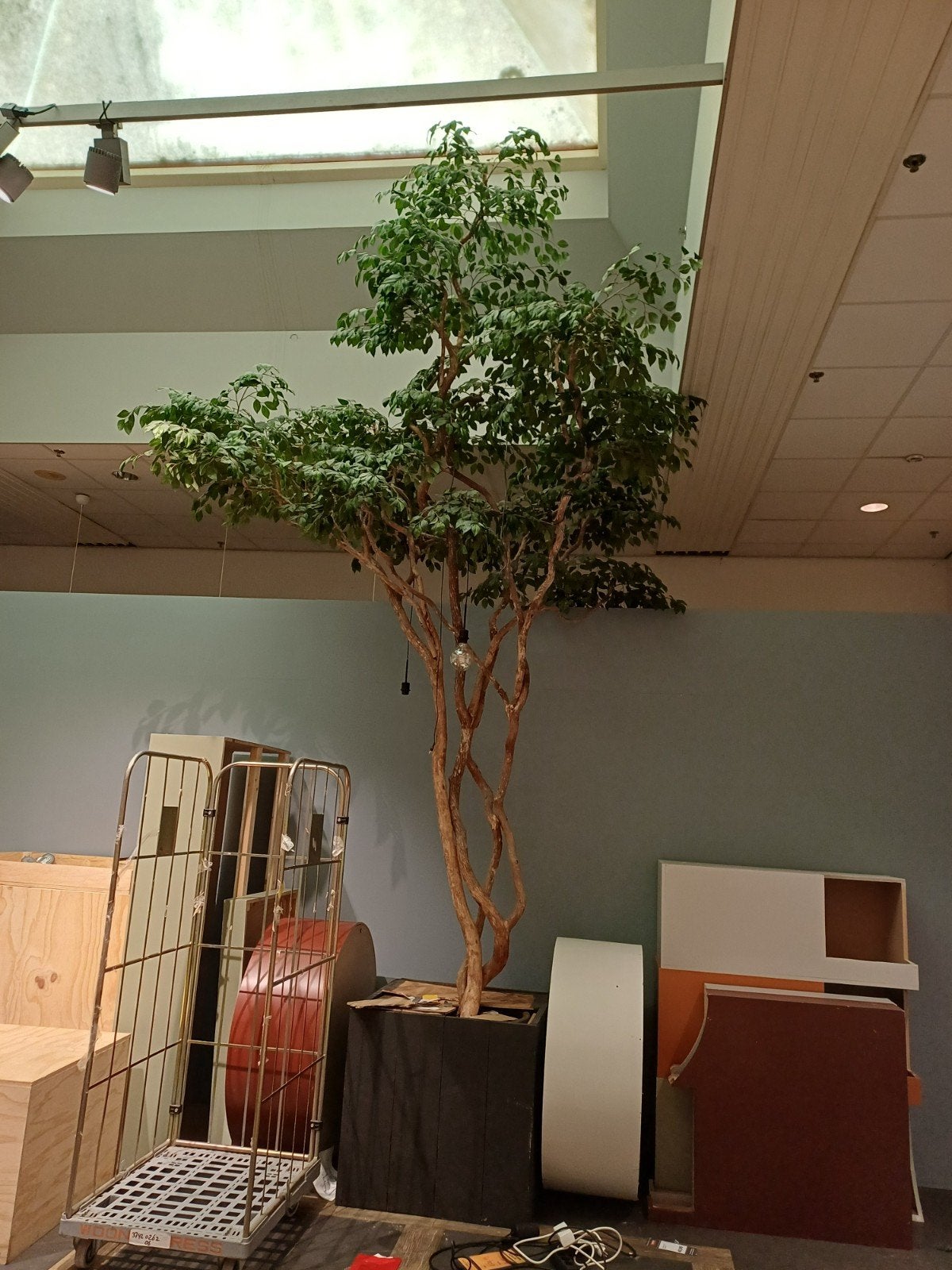 Grote kunstboom - Ficus - Perfect voor binnen, Huis en Inrichting, Ophalen, Binnen, Kunstplant, Kunststof