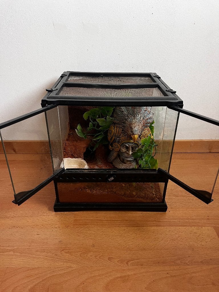 Terrarium inclusief toebehoren, Dieren en Toebehoren, Reptielen en Amfibieën | Toebehoren, Ophalen, Gebruikt, Terrarium of Paludarium