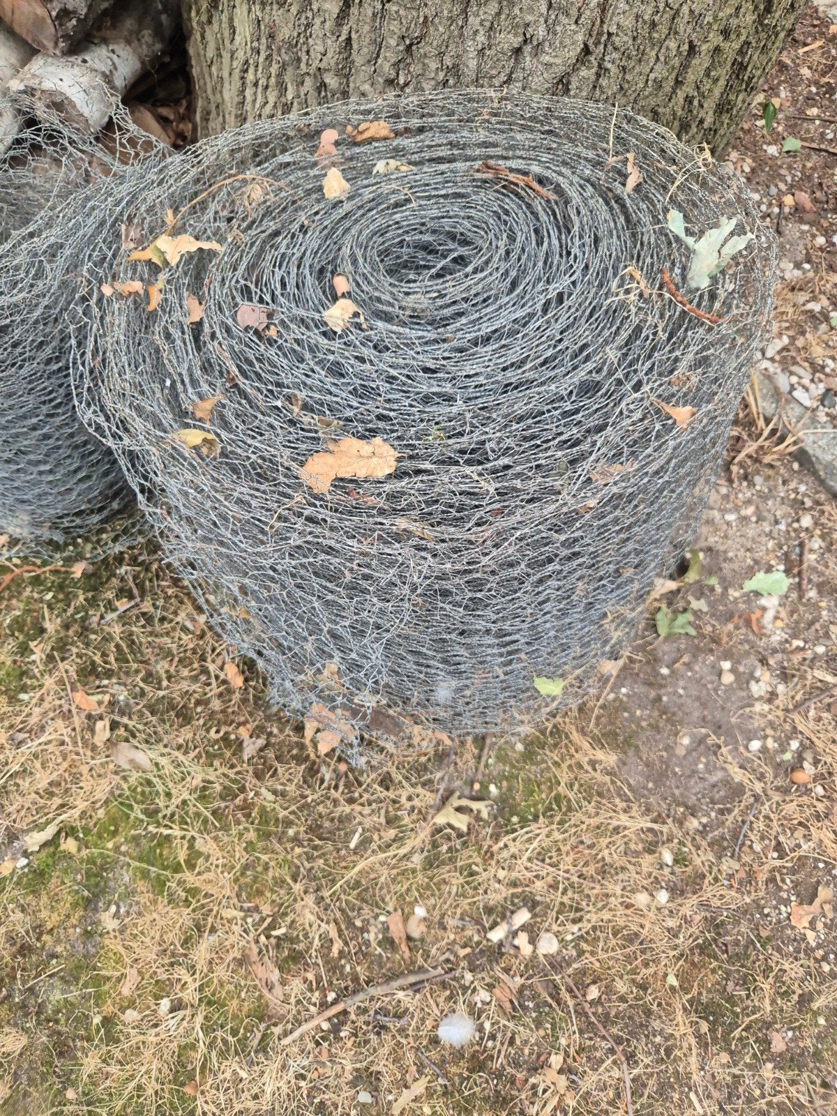 kippengaas 50cm en 85cm, Tuin en Terras, Gaas en Draad, Ophalen, Zo goed als nieuw, 20 meter of meer, Gaas