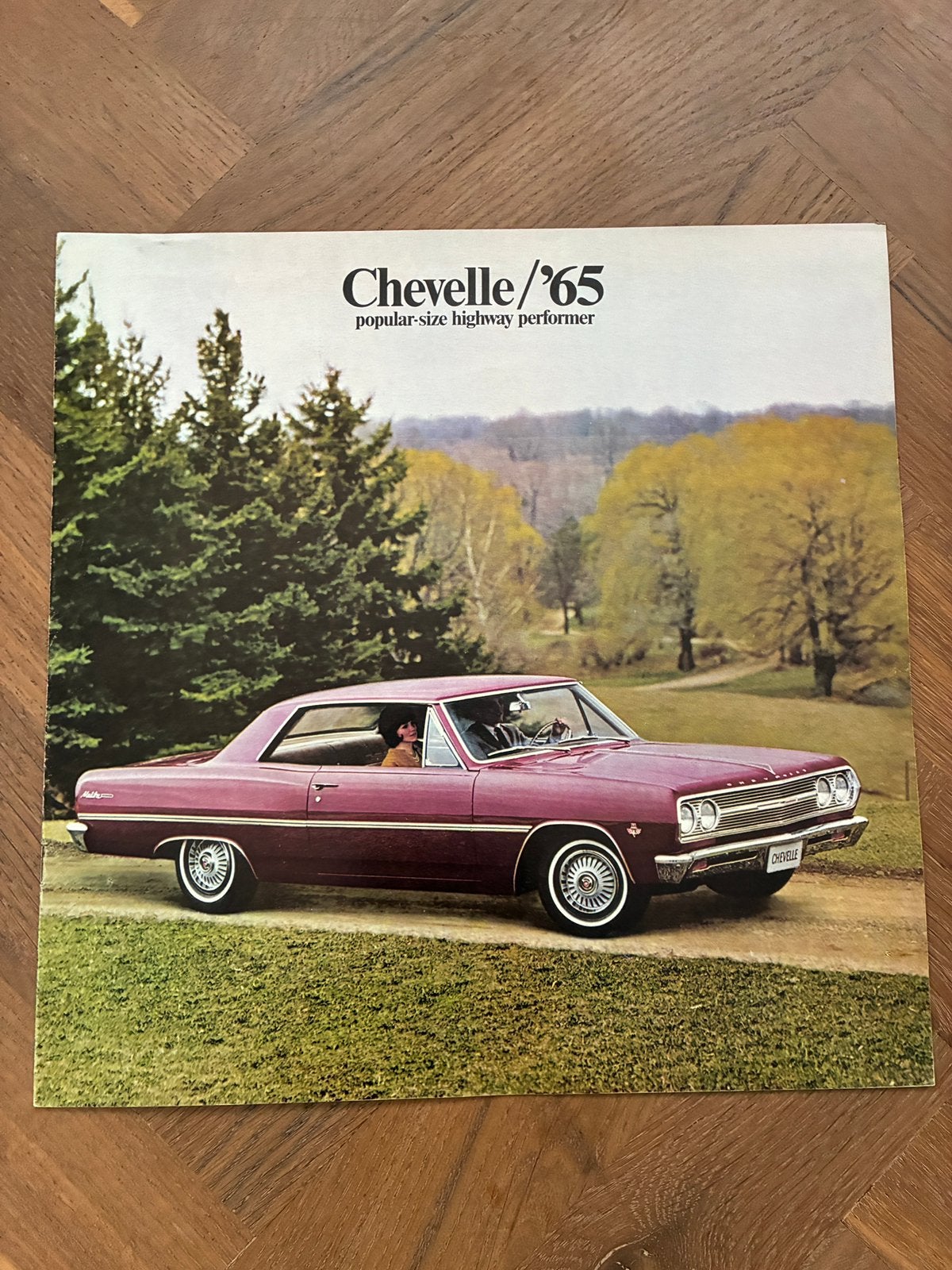 1965 Chevrolet Chevelle brochure, Boeken, Auto's | Folders en Tijdschriften, Verzenden, Zo goed als nieuw, Chevrolet