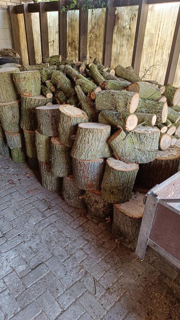 Eiken blokken ongekloofd vers gezaagd, Tuin en Terras, Haardhout, 6 m³ of meer, Ophalen of Verzenden, Eikenhout, Stammen