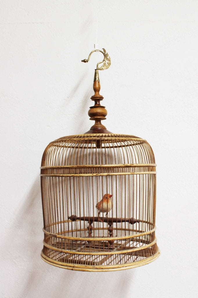 Vintage bamboe vogelkooi met haak. Antieke kooi met vogeltje, Dieren en Toebehoren, Ophalen, Overige materialen, O, O