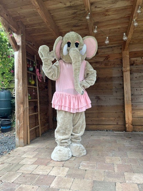mascotte pak kostuum lieve olifant 25 euro huur (nu ook man), Ophalen of Verzenden, Zo goed als nieuw, Overige