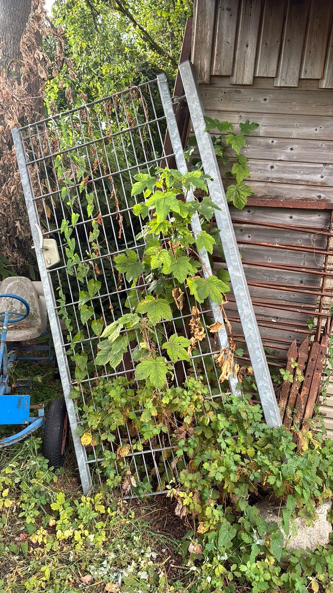 Stalen poort en hekdelen, Ophalen, Zo goed als nieuw, IJzer