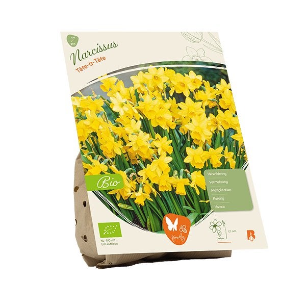 Narcis (Narcissus Tête à Tête) BIOLOGISCH, Ophalen of Verzenden, Najaar, Volle zon, Bloembol