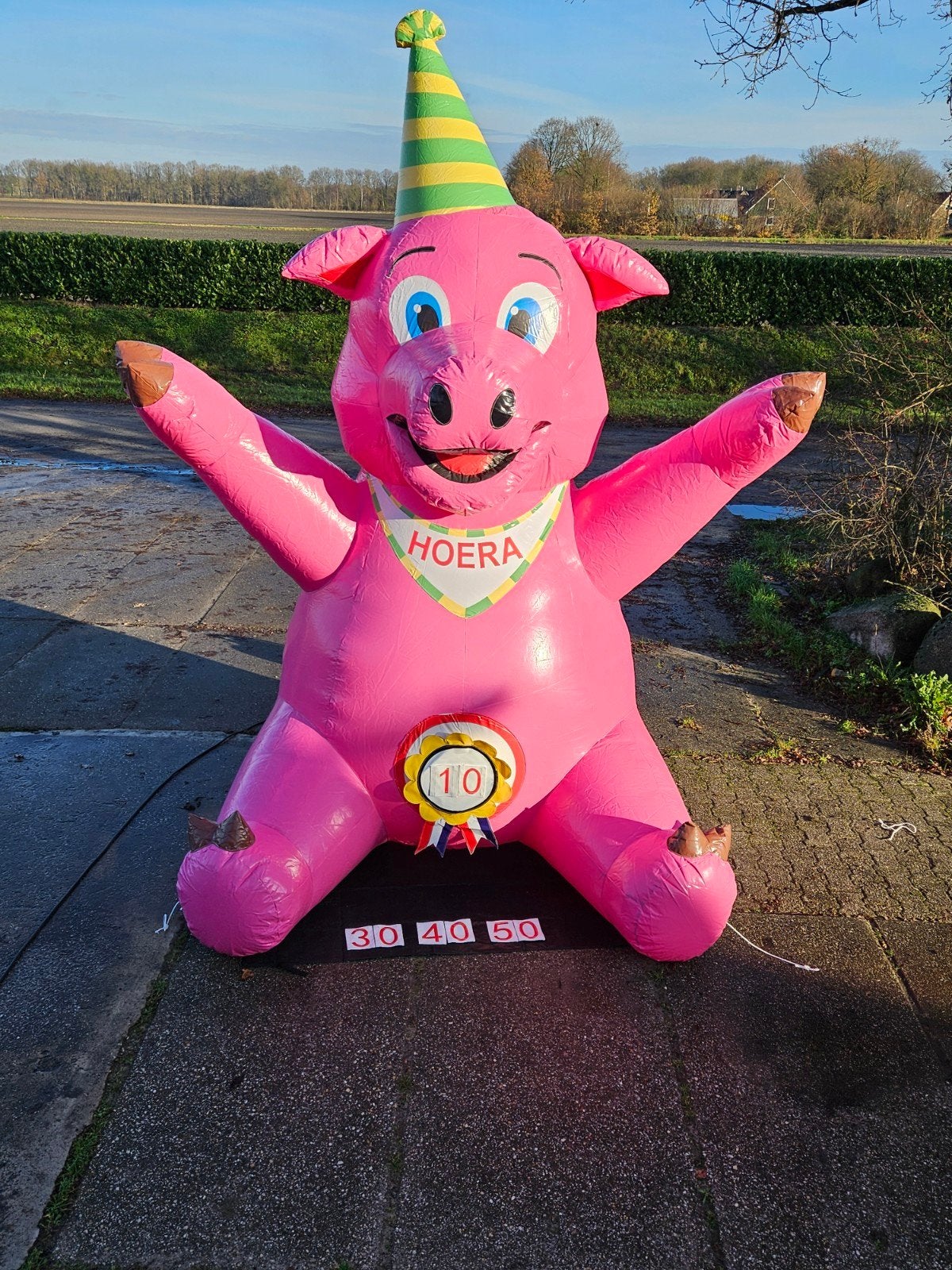 Feest varken te huur!!, Ophalen, Zo goed als nieuw