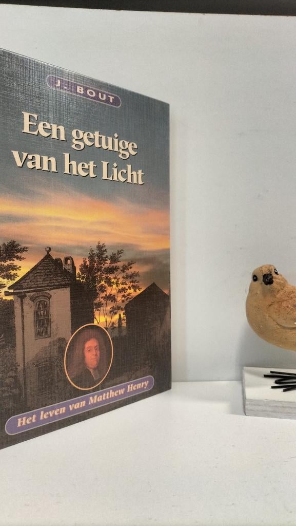 Bout, J.; Een getuige van het Licht (M. Henry, Boeken, Godsdienst en Theologie, Ophalen of Verzenden, Gelezen, Christendom | Protestants
