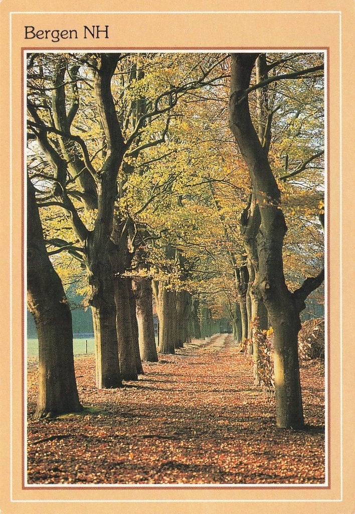 Bergen, Ophalen of Verzenden, 1980 tot heden, Gelopen, Noord-Holland