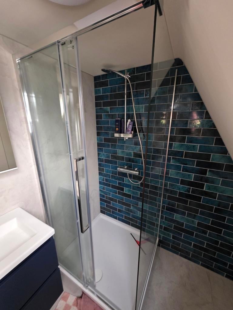 Glazen douchewand en deur, Ophalen, Zo goed als nieuw, Rvs, Douche