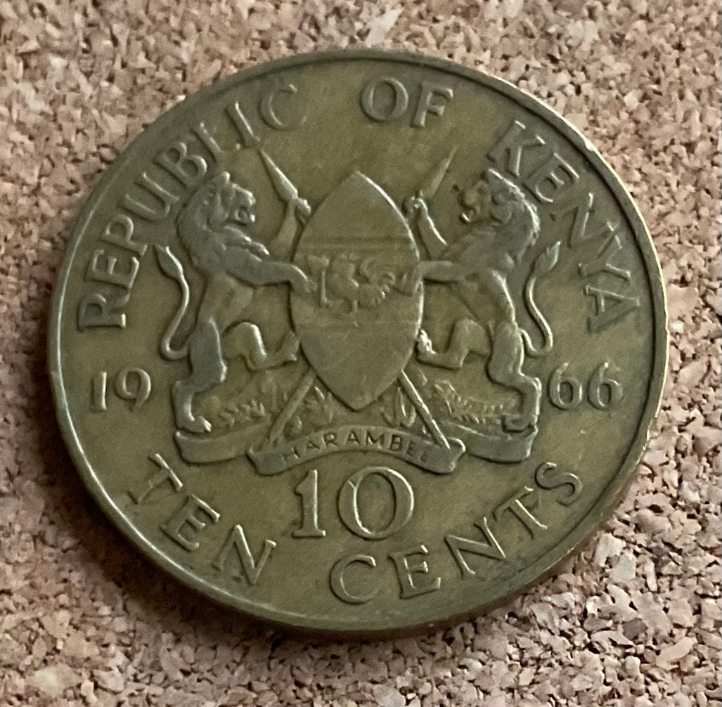 Munt - kenya 10 cents 1966., Ophalen of Verzenden, Overige landen, Losse munt