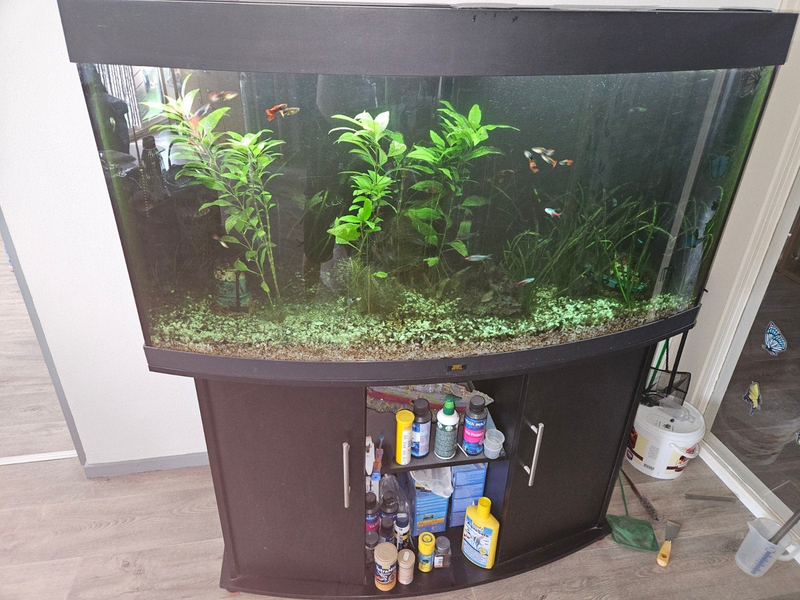 Aquarium Juwel  Vision te koop, Dieren en Toebehoren, Ophalen, Gebruikt, Aquariummeubel, Inclusief vissen