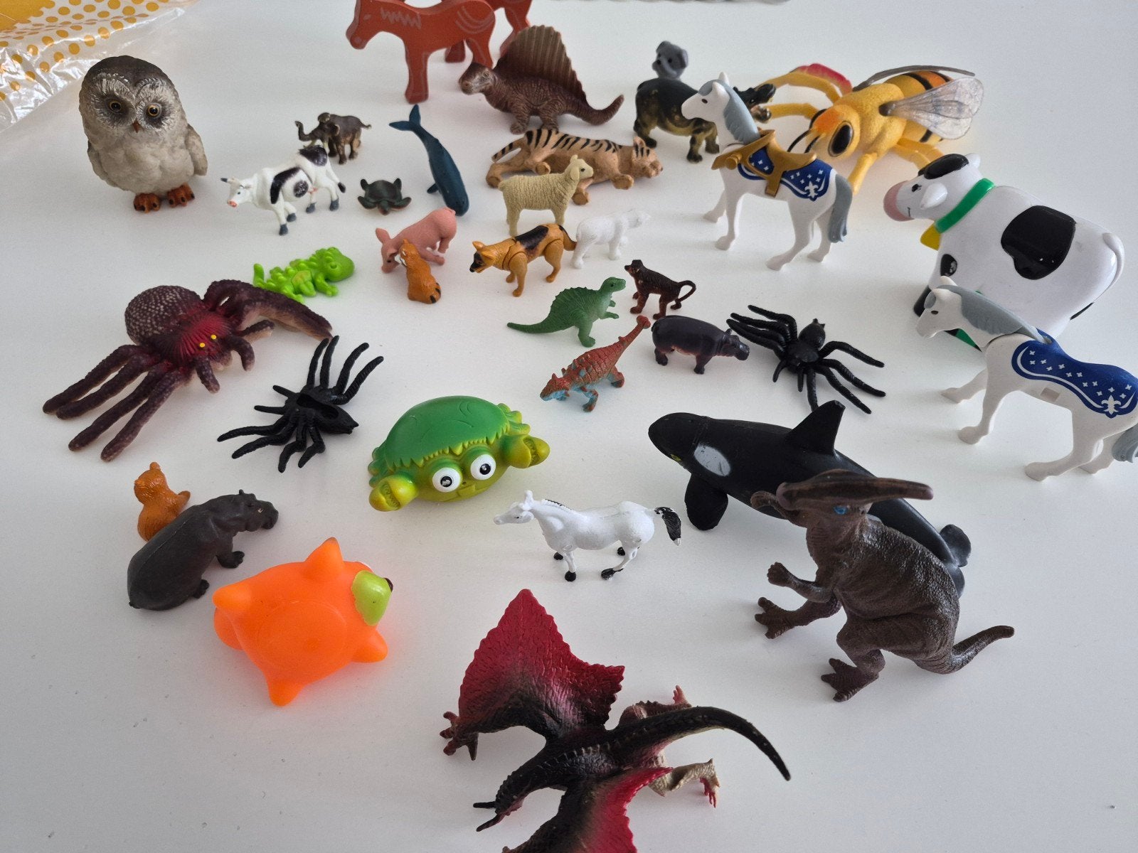 Grote verzameling dieren en insecten, Ophalen, Gebruikt, Jongen of Meisje