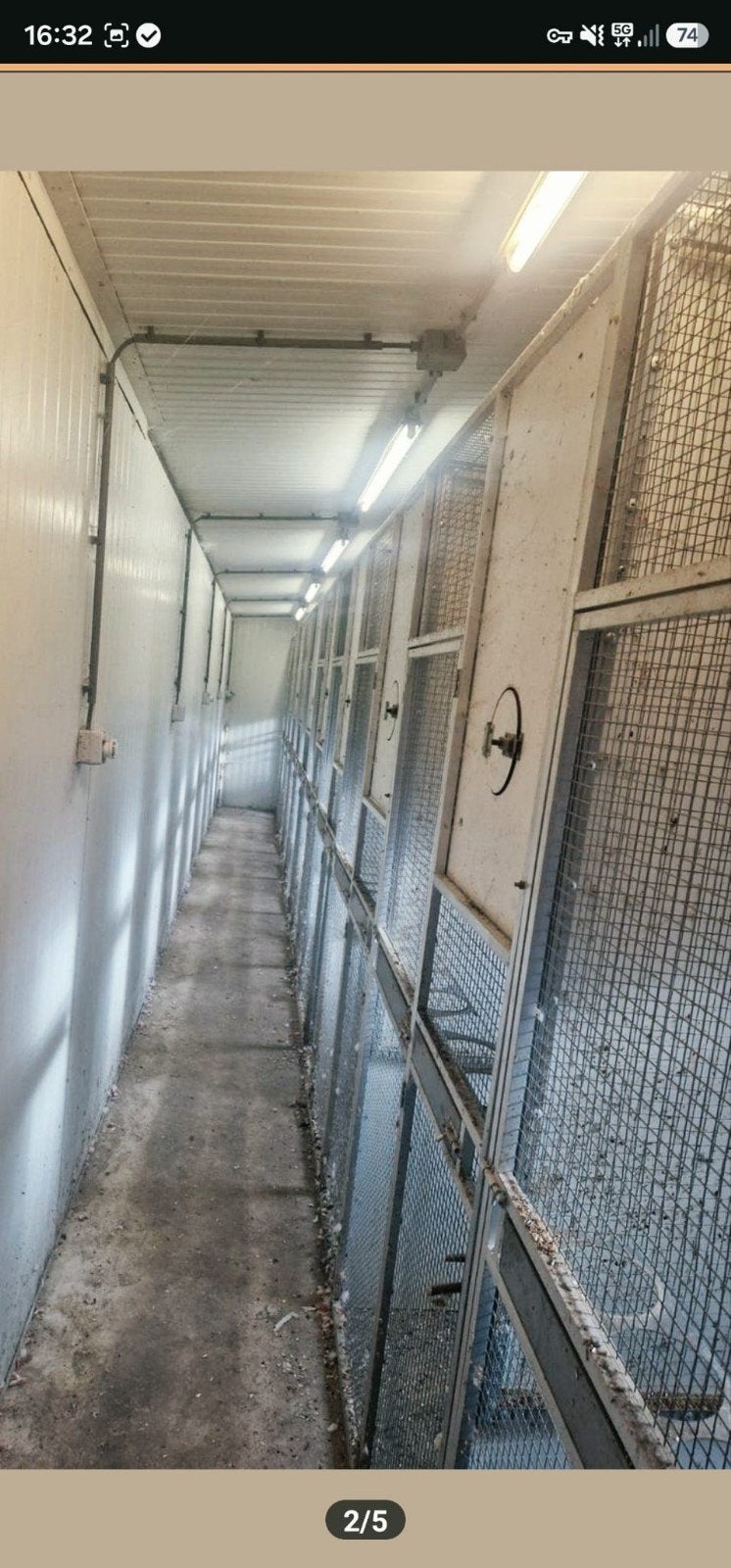 Vluchten volière, Dieren en Toebehoren, Ophalen