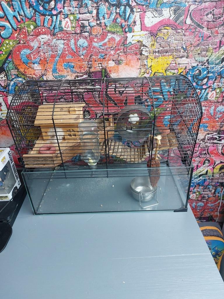 Hamsterkooi, Dieren en Toebehoren, Knaagdieren en Konijnen | Hokken en Kooien, Ophalen, Minder dan 75 cm, Hok, Minder dan 60 cm