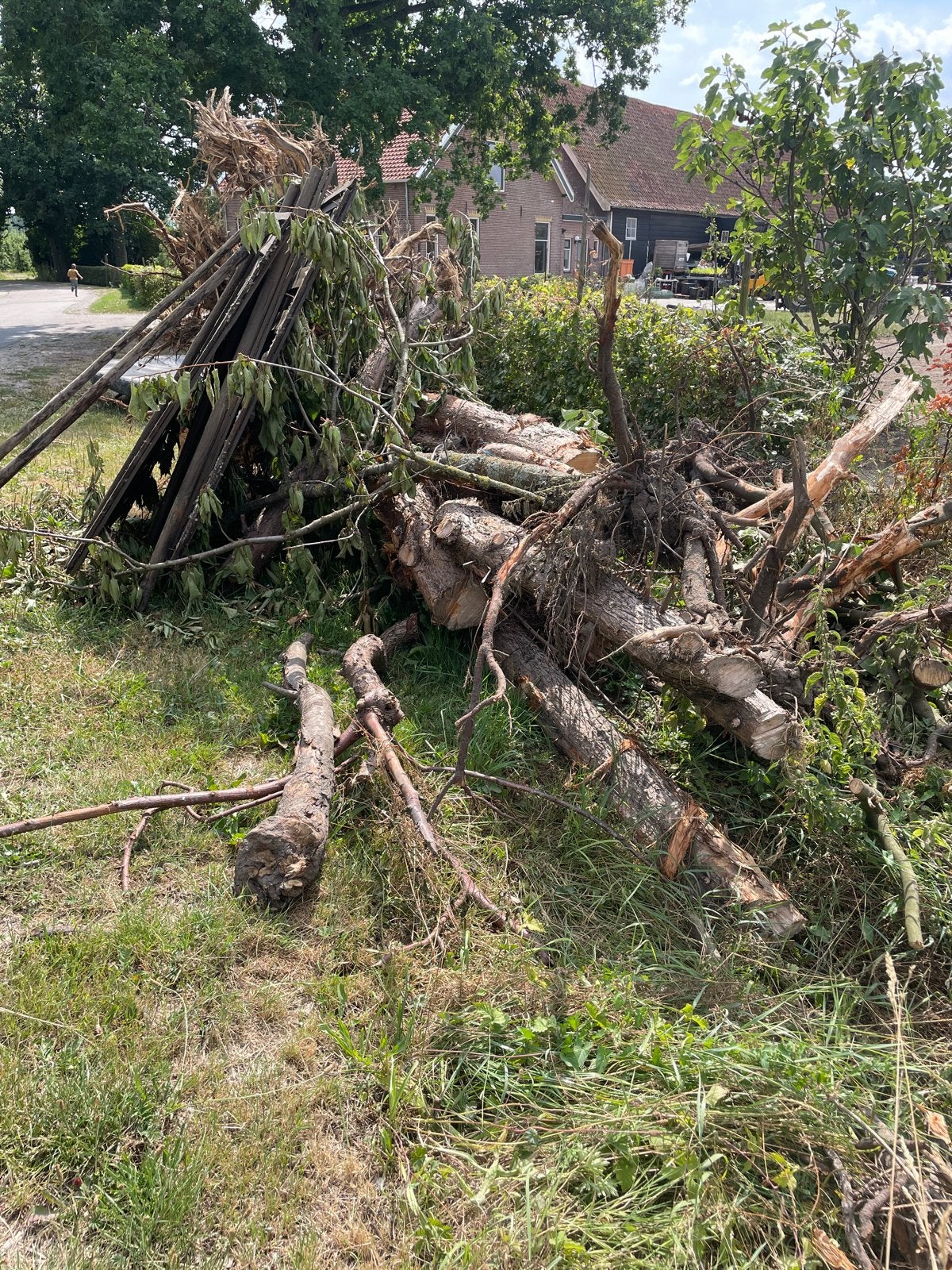 Gratis conifeer haardhout, zelf zagen, 6 m³ of meer, Ophalen, Overige houtsoorten, Stammen