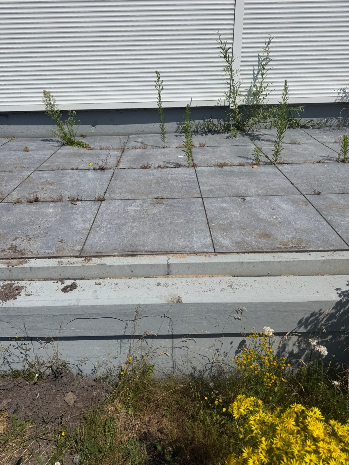 Mooie tegels, Tuin en Terras, Tegels en Klinkers, Ophalen, Zo goed als nieuw, Beton, Terrastegels