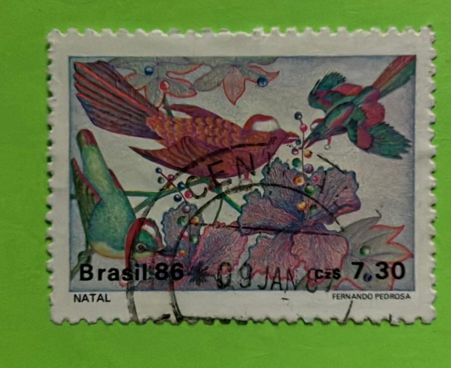 Vogel, Ophalen of Verzenden, Dier of Natuur