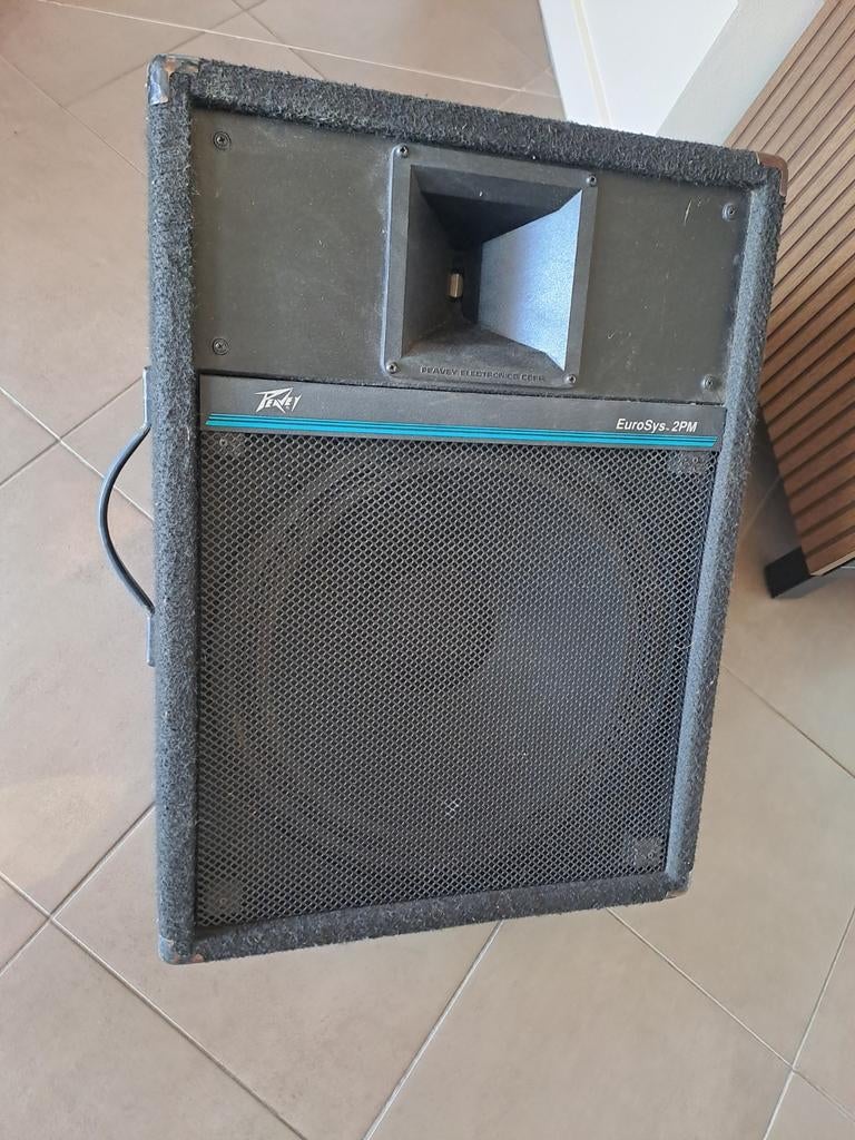 Peavey actieve monitor, Audio, Tv en Foto, Luidsprekers, Ophalen, Gebruikt, Overige merken