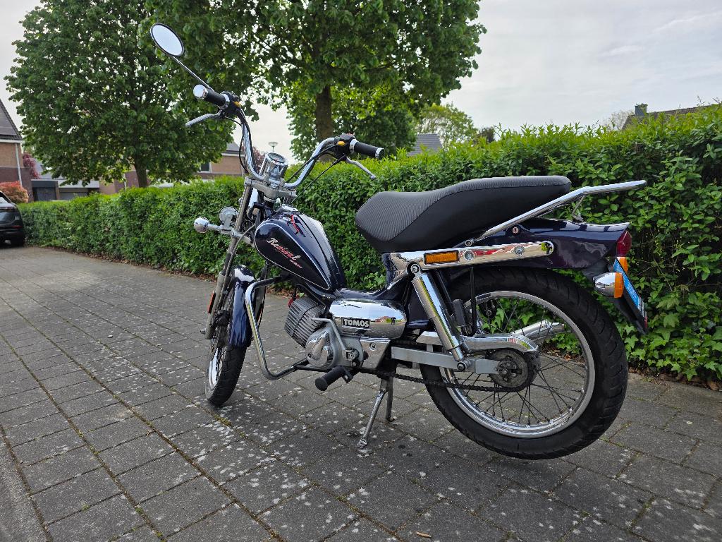 Tomos Revival te koop, Ophalen, Gebruikt, Maximaal 45 km/u, 2 versnellingen