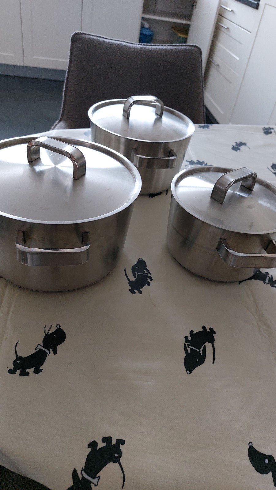 BK Pannenset - 3 RVS pannen met deksels, Ophalen