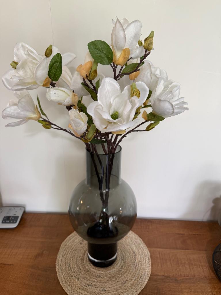 SILKA takken, Huis en Inrichting, Woonaccessoires | Droogbloemen, Ophalen of Verzenden, Nieuw