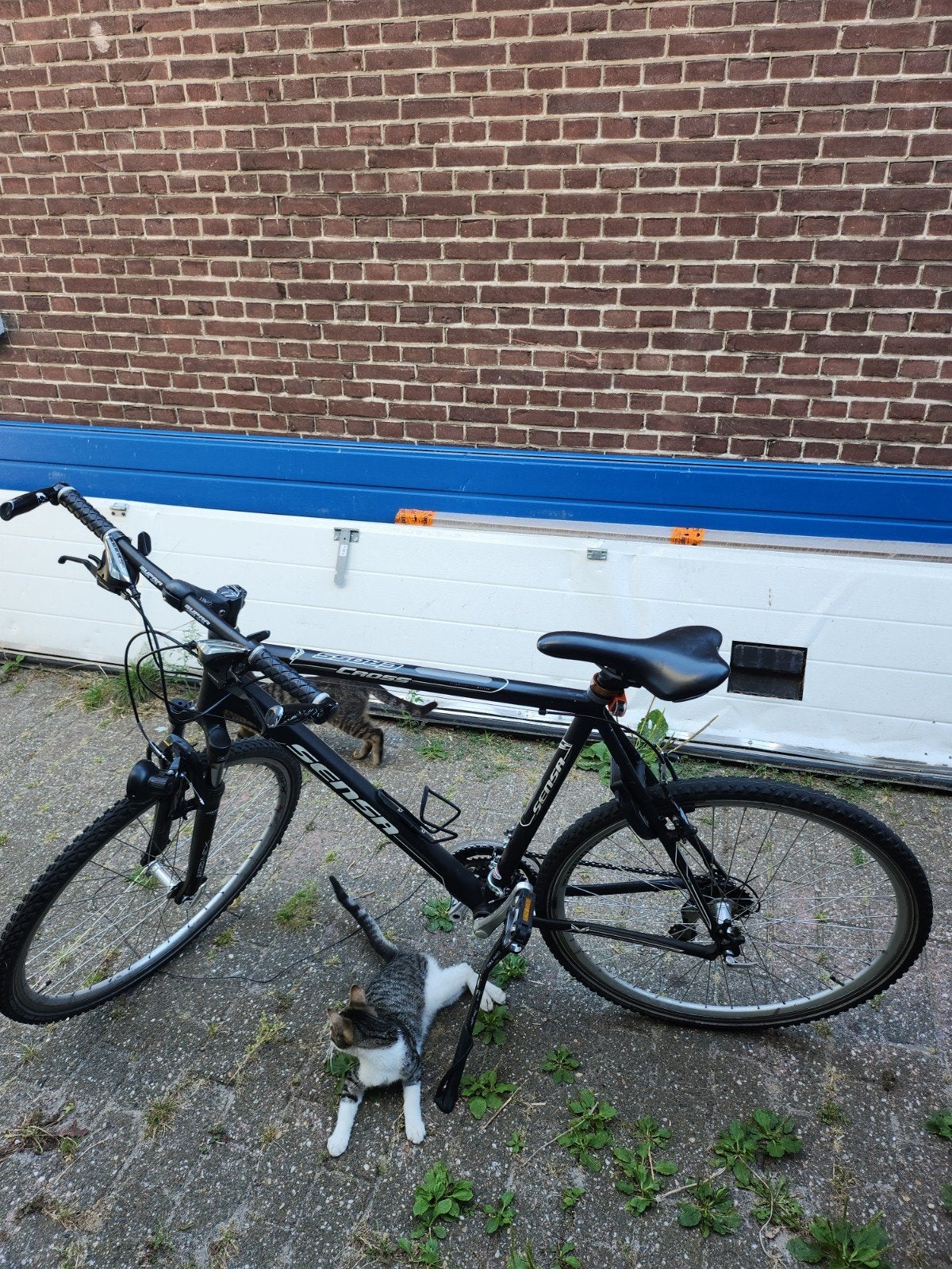 mountinbike moet weg, 28 inch, Vering, 10 tot 15 versnellingen, Velgrem