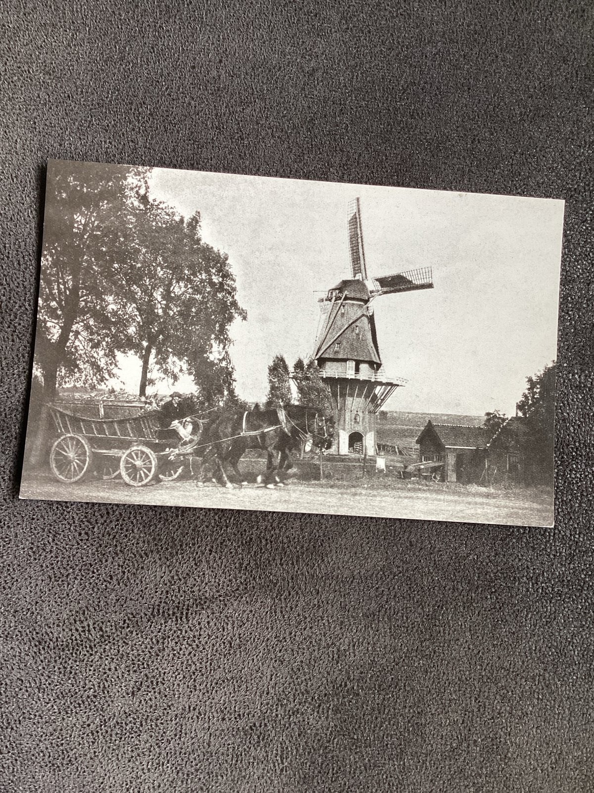 Oude ansichtkaart Aalsmeer Korenmolen "De Korenschoof", Ophalen of Verzenden, Voor 1920, Ongelopen, Noord-Holland
