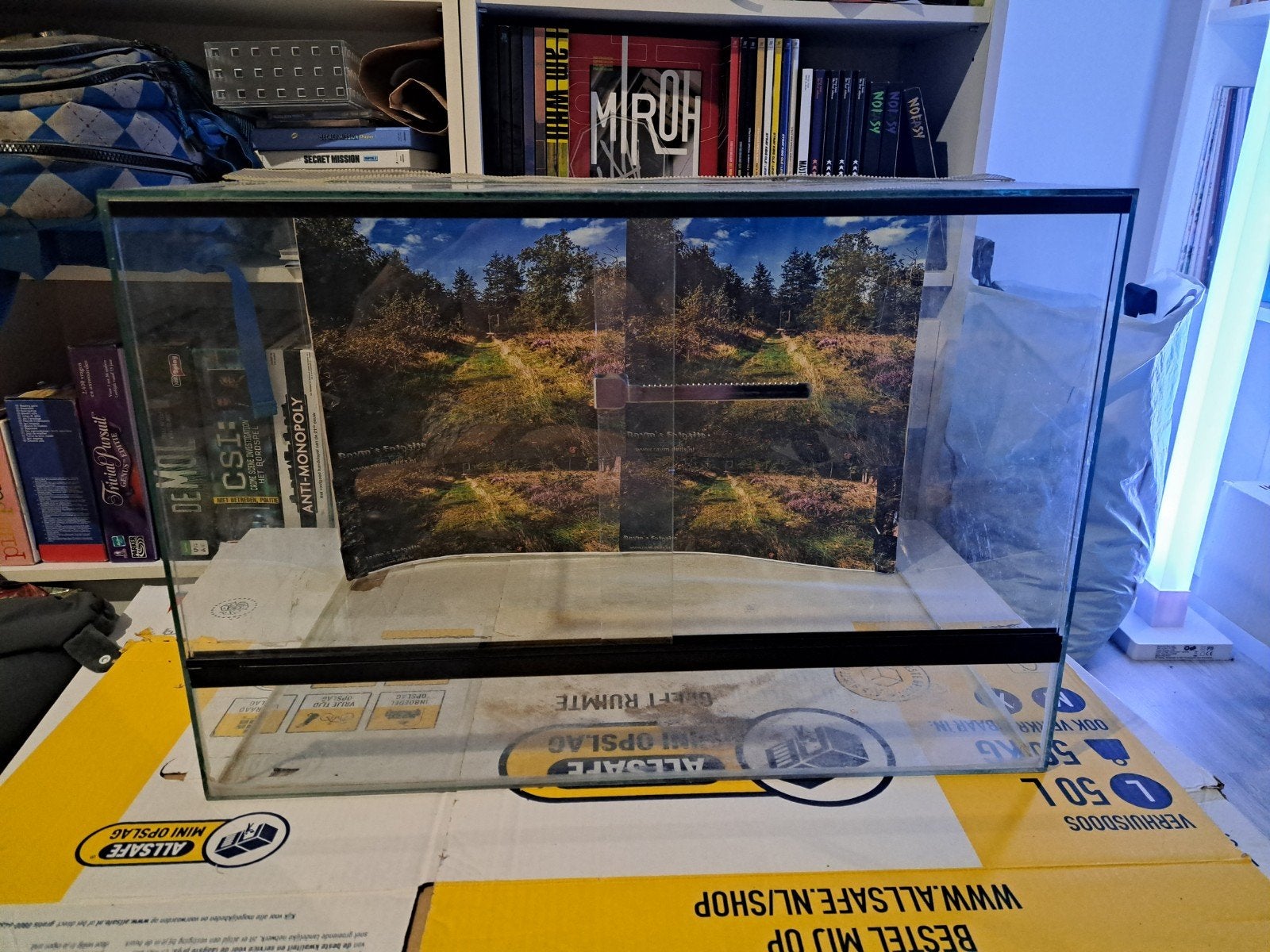 Terrarium 60x40x40, Dieren en Toebehoren, Reptielen en Amfibieën | Toebehoren, Ophalen, Zo goed als nieuw, Terrarium of Paludarium