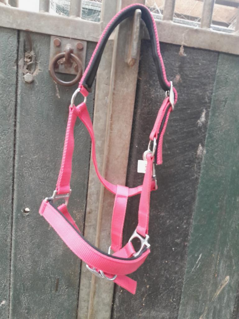 Roze halster  maat pony, Dieren en Toebehoren, Paarden en Pony's | Hoofdstellen en Tuigage, Ophalen of Verzenden, Zo goed als nieuw