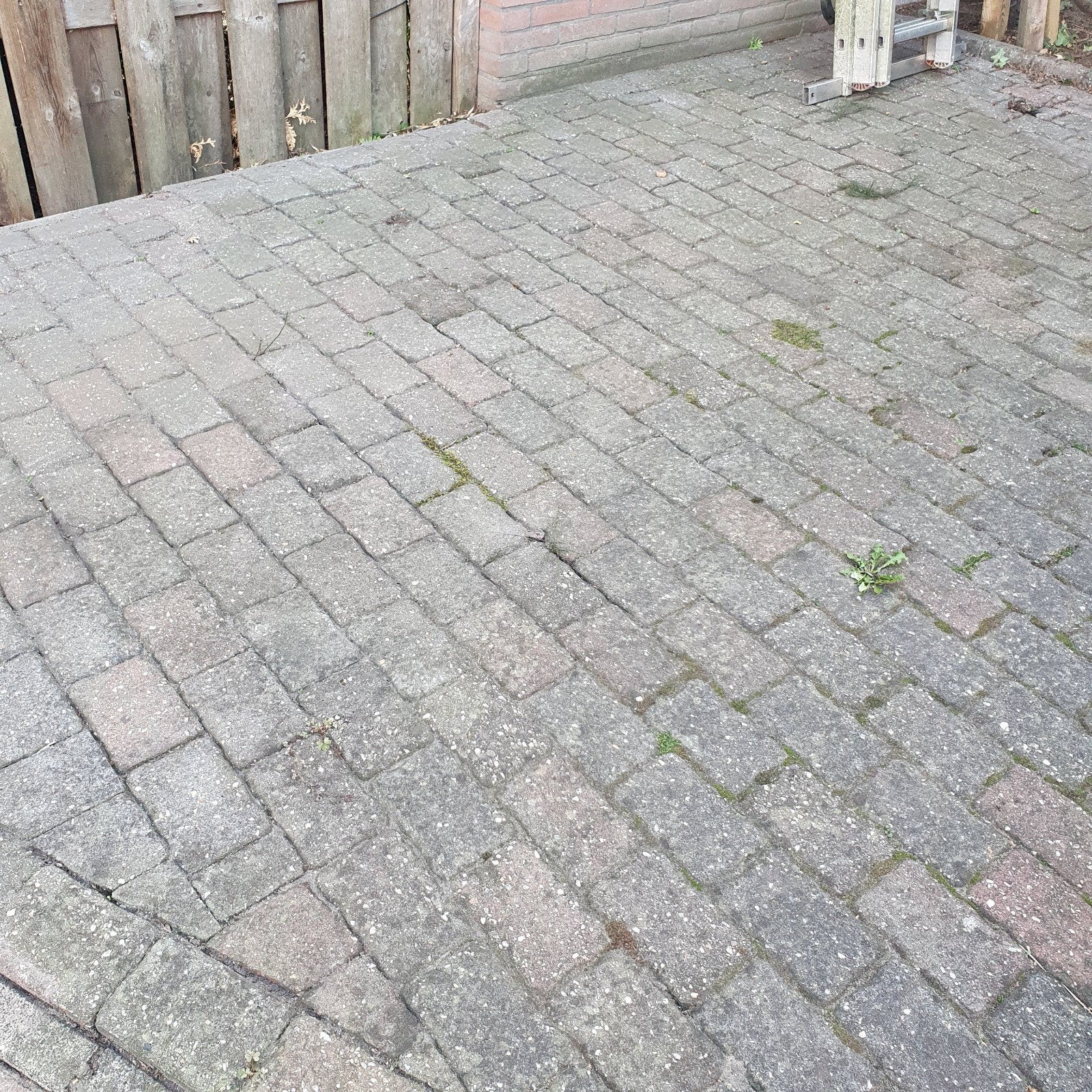 Gratis af te halen: 14 m² cobblestones 10x10cm, Gebruikt, Klinkers, Ophalen of Verzenden, 10 m² of meer