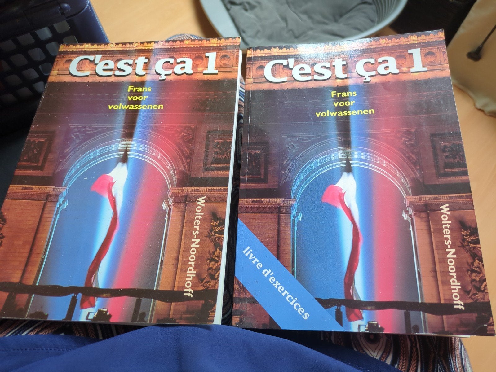 C'est ça 1 - Frans voor volwassenen (2 boeken), Boeken, Gelezen, Non-fictie, Nederlands, Frans, Wolters-Noordhoff