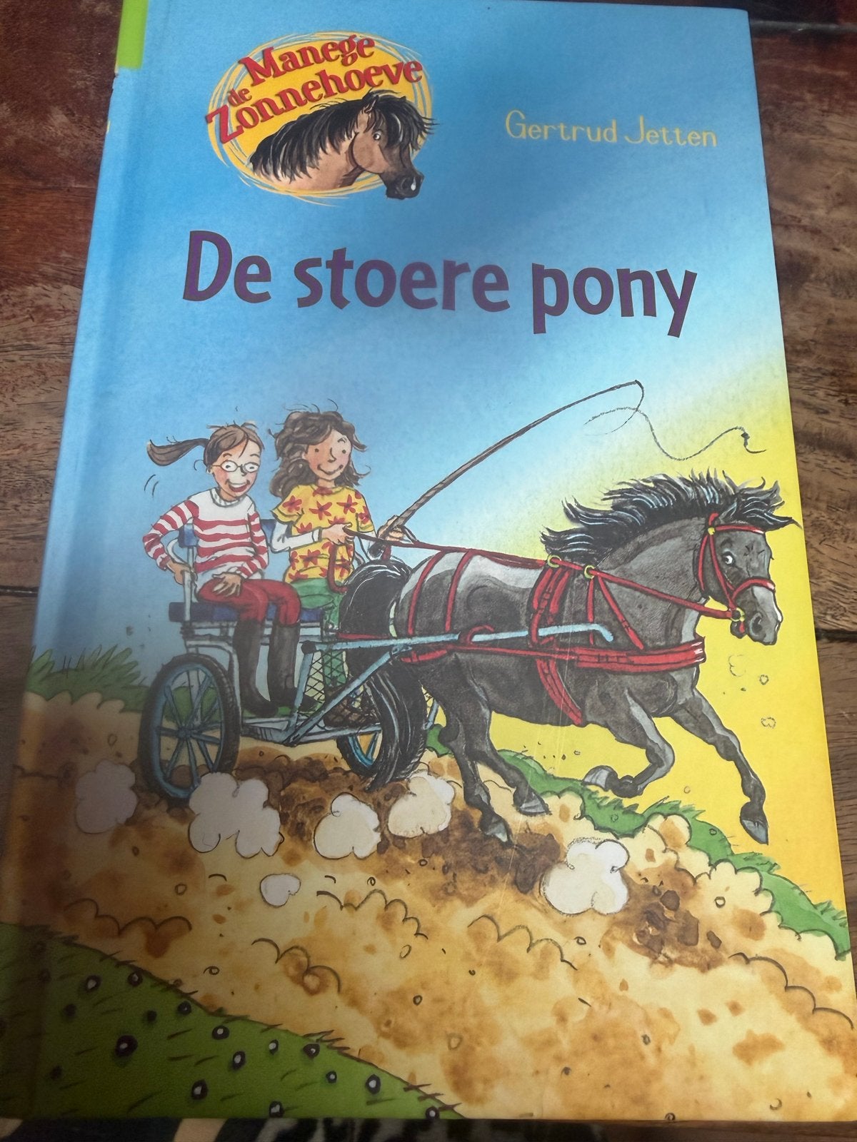 De stoere pony - De Manege Zonnehoeve, Boeken, Ophalen of Verzenden, Nieuw, Fictie algemeen