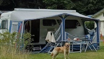Omloopmaat 12. Complete DWS outdoor caravan voortent, Ophalen, Gebruikt, Ten Cate All Season 200g/m2, Overige merken