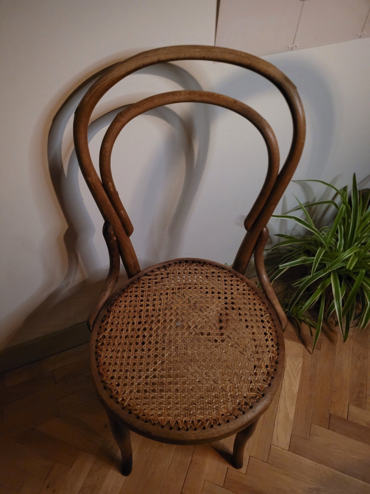 Josef Hofmann thonet stoel, Ophalen, Gebruikt, Rechthoekig