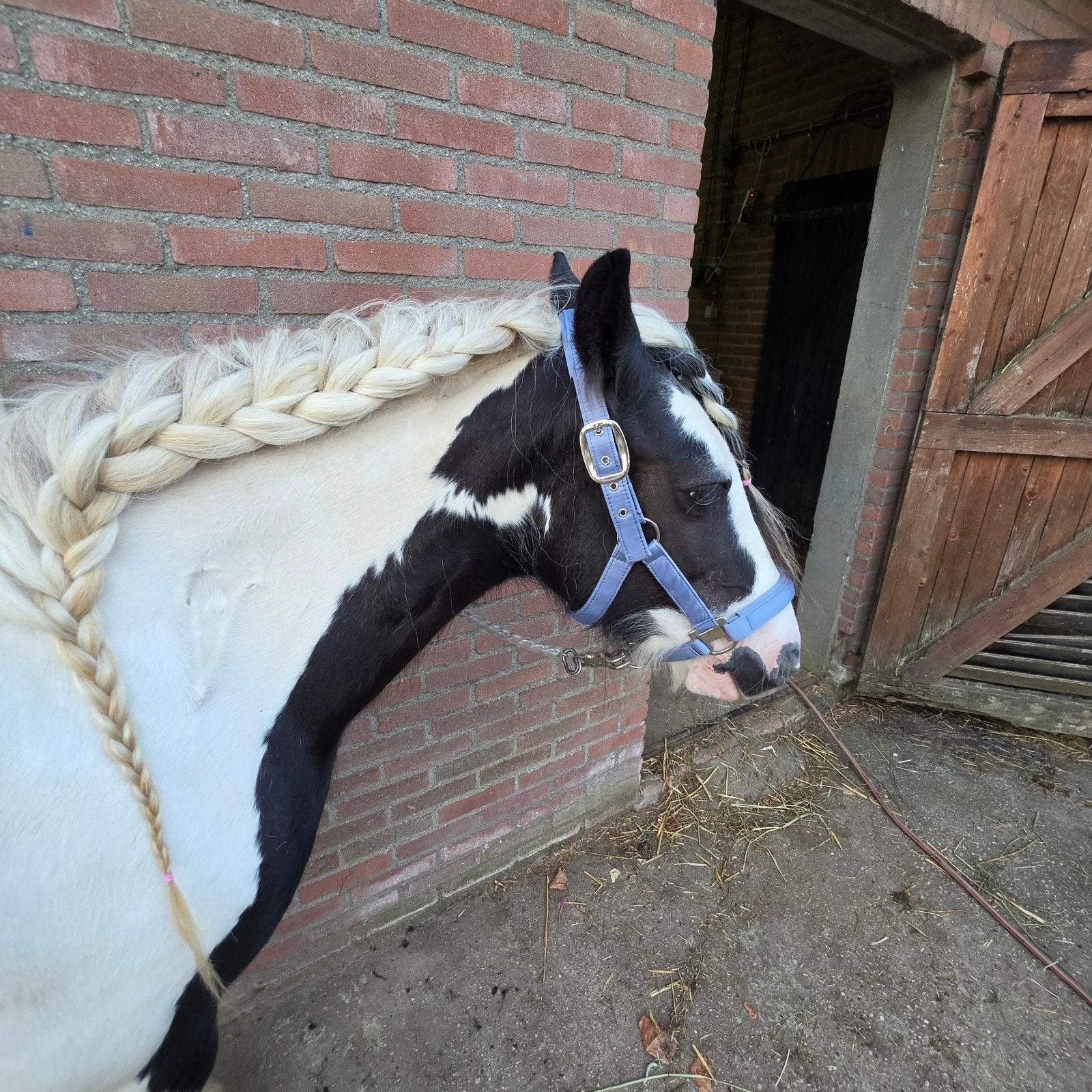 Gezocht Hulp, Doorrijden