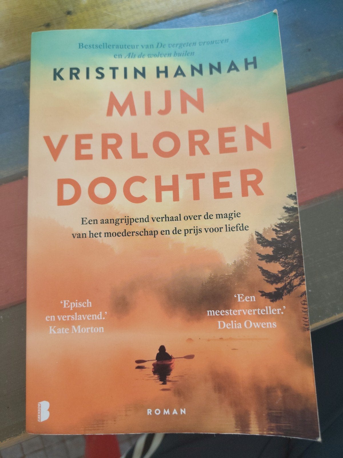 Mijn Verloren Dochter - Kristin Hannah (Roman), Boeken, Ophalen of Verzenden, Gelezen, Kristin Hannah, Nederland