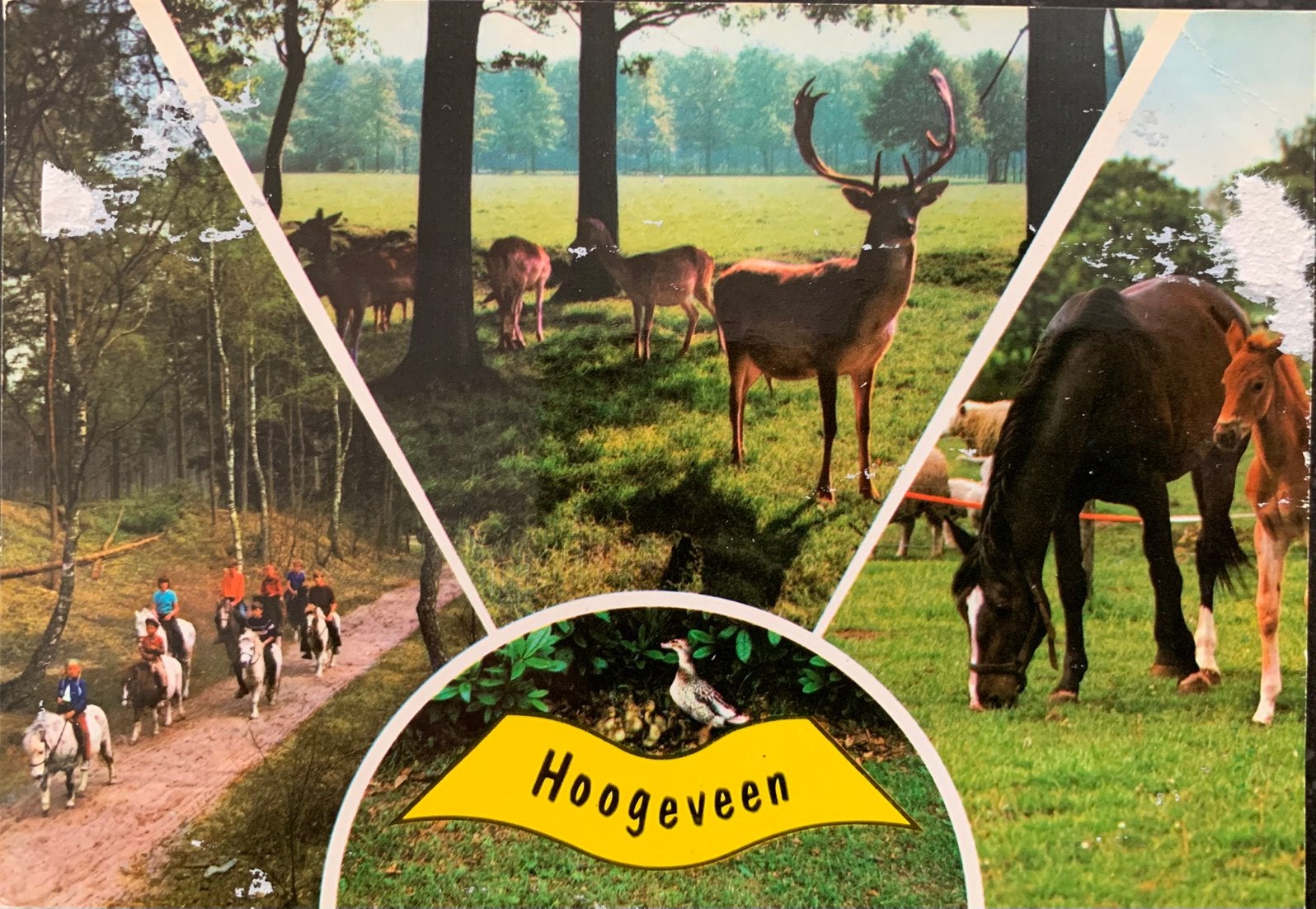 Hoogeveen, 4 luik., Ophalen of Verzenden, Gelopen, Drenthe