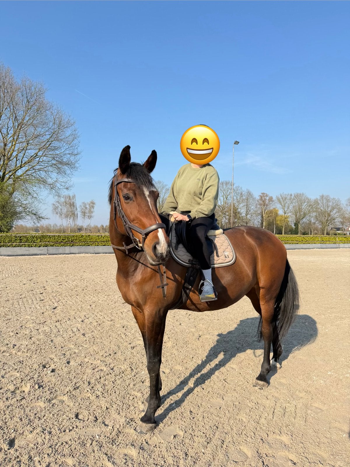 Buitenrit, recreatie, weide maatje of therapie paard, Dieren en Toebehoren, Merrie, Met stamboom, Niet van toepassing, 11 jaar of ouder