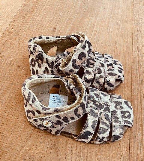 Nieuw leren schoentjes Falcotto maat 19, Schoentjes, Meisje, Falcotto, Nieuw