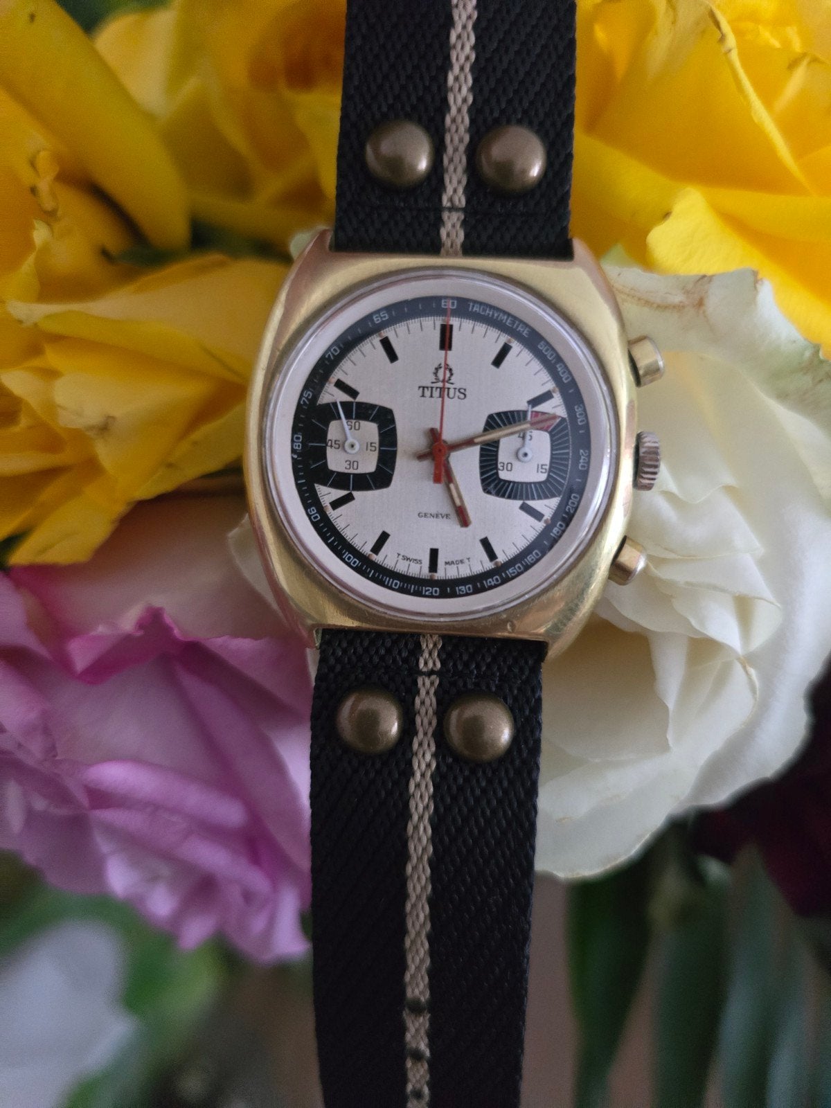 Vintage Solvil & Titus Genève Chronograaf - Valjoux 7733 -​, Ophalen, Leer, Overige merken