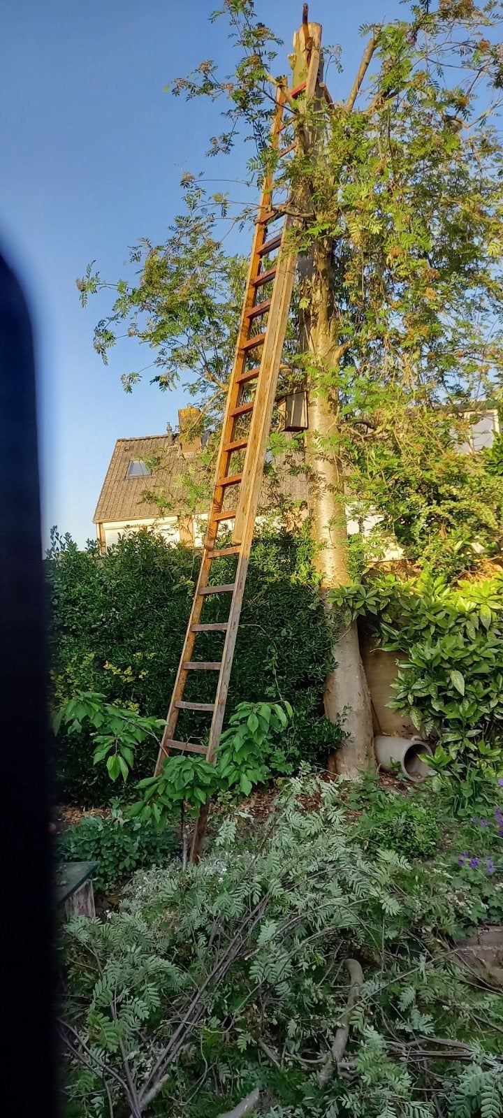 Goede grenen houten lader., Doe-het-zelf en Verbouw, Ladders en Trappen, Ophalen of Verzenden, Gebruikt, 2 tot 4 meter